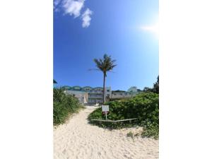 una palma situata sulla cima di una spiaggia sabbiosa di Tokashiku Marine Village - Vacation STAY 18559v a Tokashiku