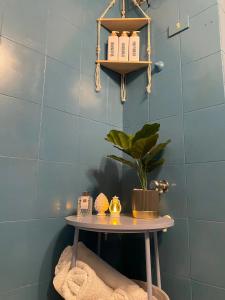 a table in a room with a plant and a shelf at Villa Katy in Panarea