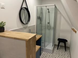 La salle de bains est pourvue d'une douche avec un miroir et un tabouret. dans l'établissement Bel appartement 2 chambres, 