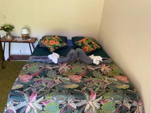 eine Person, die in einem Schlafzimmer auf einem Bett liegt in der Unterkunft ROOM LE BASSIN in Tiarei