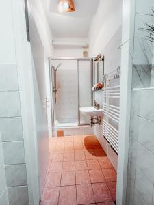 een badkamer met een douche en een wastafel bij Raimond Apartment Top 27 in Wenen