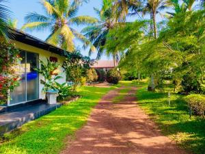 a dirt road next to a house with palm trees at Hotel Water Nest in Etagama