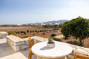 un tavolo con un cactus appoggiato sopra un patio di Queen bee seafront a Kampos Paros