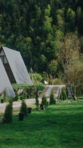 a house with a group of solar panels on the grass at Landhaus Borjomi in Borjomi