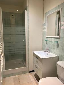 a bathroom with a shower and a sink and a toilet at Le Studio Cosy *Place du village in Les Salles-sur-Verdon