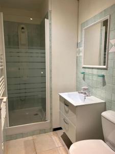 a bathroom with a shower and a sink and a toilet at Le Studio Cosy *Place du village in Les Salles-sur-Verdon +7 photos