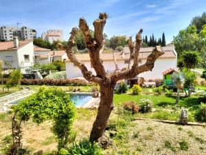 a tree in the yard of a house with a pool at Studio avec terrasse au calme in Hyères