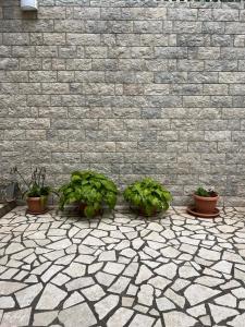 a group of potted plants in front of a brick wall at Apartment Ivanka in Senj