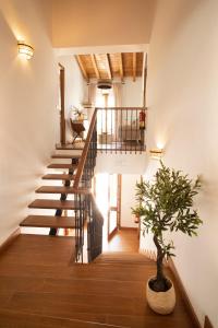 un escalier dans une maison avec une plante en pot dans l'établissement Casa Rural Candelas, à Zahara de la Sierra