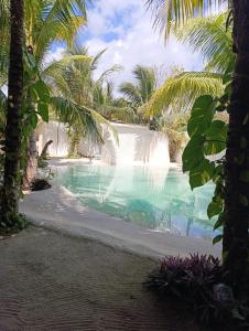 una piscina con palmeras en el primer plano en Secret Paradise Mahahual, en Mahahual