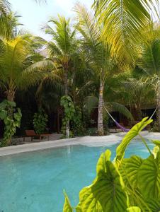 una piscina con palmeras en el fondo en Secret Paradise Mahahual, en Mahahual