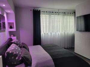 Schlafzimmer mit einem Bett mit lila Wänden und einem TV in der Unterkunft Luxury Appartement Marz, Europa Park- Rulantica in Mahlberg