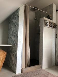 een badkamer met een douche en een douchegordijn bij Gîte indépendant - Bretzel et Bergamote in Richtolsheim