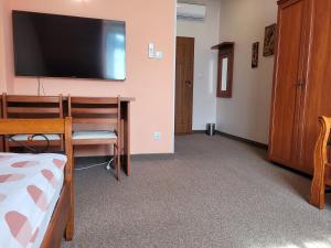 a living room with a flat screen tv on the wall at Pensjonat Cyrkon - strażnik młodszego Paleozoiku in Iwaniska +23 photos