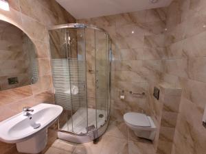 a bathroom with a shower and a toilet and a sink at Pensjonat Cyrkon - strażnik młodszego Paleozoiku in Iwaniska
