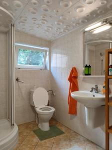 a bathroom with a toilet and a sink at Penzion Tesák-ČERŇAVA in Chvalčov