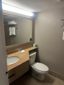 uma casa de banho com um WC, um lavatório e um espelho. em Red Carpet Inn & Suites em Filadélfia
