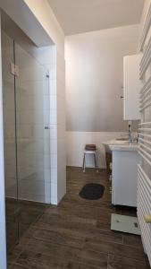 a bathroom with a shower and a sink at Ferienwohnung im Thermenland in Fürstenfeld