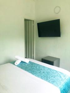 sypialnia z łóżkiem z lustrem i telewizorem w obiekcie Hotel Pallara Campestre w mieście Ricaurte