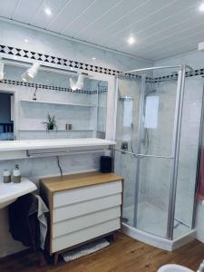 a bathroom with a shower and a sink at Reihenhaus mit viel Platz in Hannover
