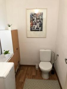 baño con aseo y una foto en la pared en Usadlosť pri lúke, en Mlynárovce