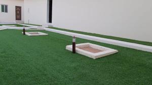 ein grüner Hof mit zwei Pfosten im Gras in der Unterkunft شالية المزرعة 