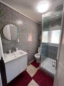ein Bad mit einer Dusche, einem Waschbecken und einem WC in der Unterkunft Maison de village en Provence in Courthézon