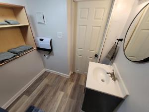 a bathroom with a sink and a mirror at Modern 1 BR Apt - Easy Parking 5 min from Downtown in Pittsburgh