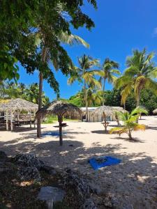 Phong cảnh thiên nhiên gần căn hộ