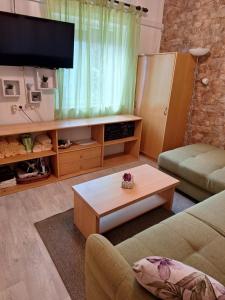 TV a/nebo společenská místnost v ubytování Apartments Slavomir