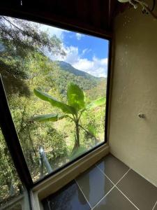 ProvidenciaにあるCabaña Alas de Sable Providenciaの植物の景色を望む部屋の窓