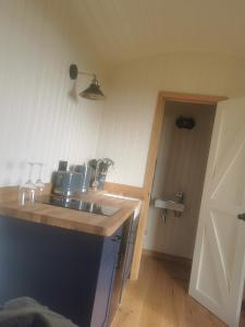 a small kitchen with a sink and a door at Cwt y Mynydd in Chester