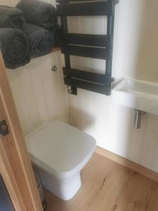 a small bathroom with a toilet and a sink at Cwt y Mynydd in Chester