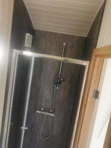 y baño con ducha y puerta de cristal. en Cwt y Mynydd, en Chester