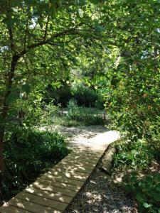 a walkway in a garden with trees and grass at Eco habitación en Tierra Fértil Eco Posada in Santa Ana