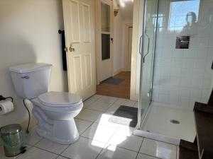 a bathroom with a toilet and a walk in shower at Light House Apartment in Brackley Beach