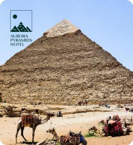 un cammello in piedi di fronte alla piramide di Aurora Pyramids Hotel a Il Cairo