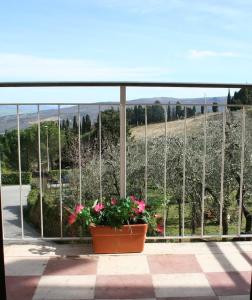 Gallery image of Appartamento Stella: nel cuore delle colline toscane in Chianni