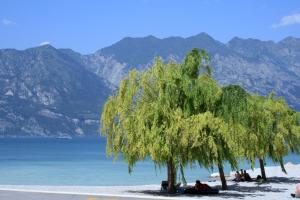 Foto dalla galleria di Albergo San Remo a Malcesine