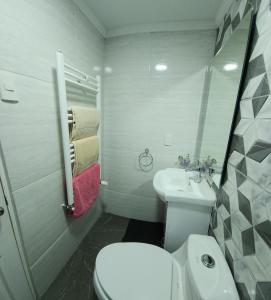 a bathroom with a white toilet and a sink at Nui 1 in Punta Arenas