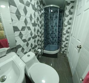 a bathroom with a white toilet and a shower at Nui 1 in Punta Arenas