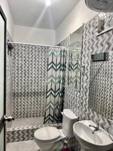 a bathroom with a toilet and a sink and a shower at CASTELLARES LA PUEBLA APARTAMENT in Ayacucho