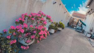 um ramo de flores em vasos do lado de um edifício em Dream home em Amora