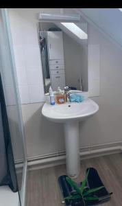 a bathroom with a white sink and a mirror at Chambre privée in Angers