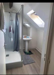 a bathroom with a sink and a shower and a mirror at Chambre privée in Angers