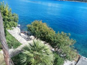 a view of a body of water with a palm tree at Apartments by the sea Sobra, Mljet - 22329 in Babino Polje +4 photos