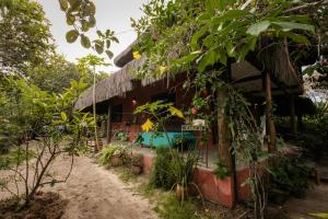 a house in the middle of a forest at Pousada Colmeia - Praia de Santo André, Bahia in Santo André