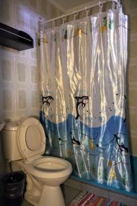 a bathroom with a toilet and a shower curtain at el valle in Calama