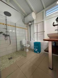 ein Bad mit einer Dusche, einem WC und einem Waschbecken in der Unterkunft Carbet Beaujolais in Le Vauclin
