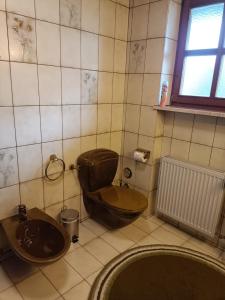 a bathroom with a toilet and a sink at Gipfelblick am Wössner Bach in Unterwössen